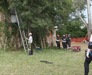 Encuentro de Brigadas Federativas BREC 2016