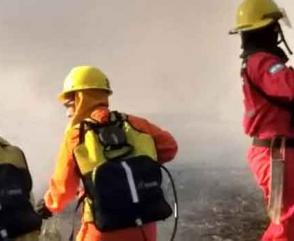 Capacitación del Departamento de Incendios Forestales en Corrientes