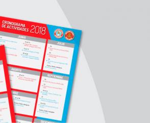 Cronograma de Actividades 2018