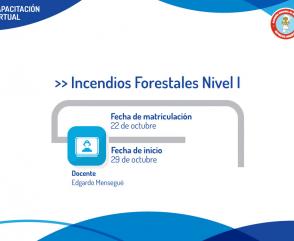 Novedad: curso de Incendio Forestales Nivel I a distancia