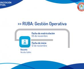 Capacitate en el sistema RUBA