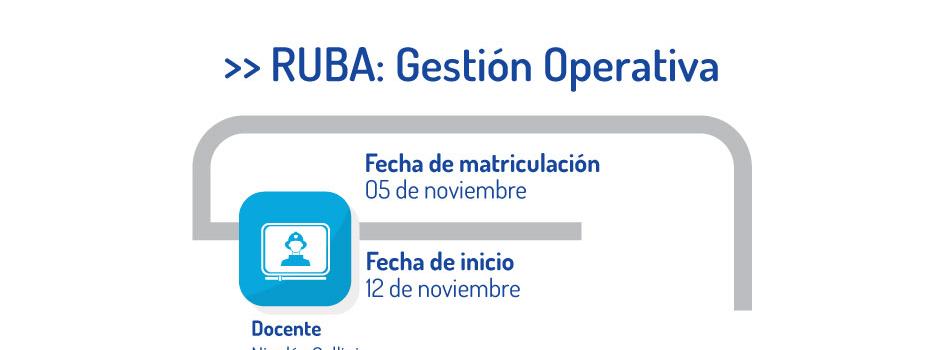 Capacitate en el sistema RUBA