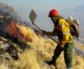 Curso virtual: Incendios Forestales