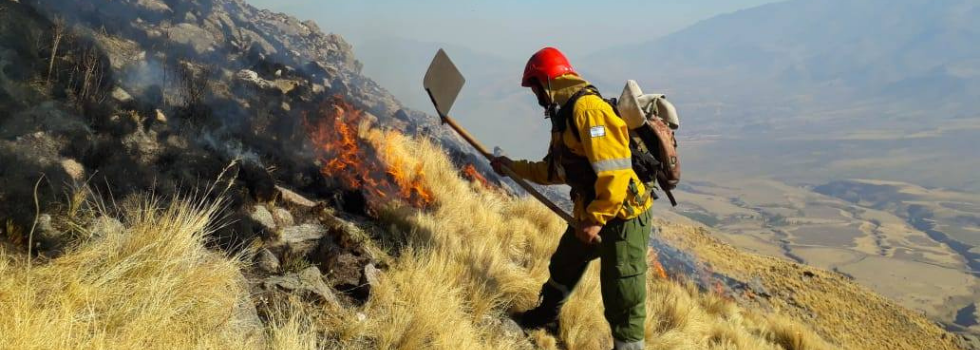 Curso virtual: Incendios Forestales