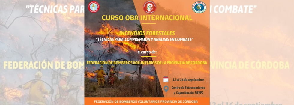 Curso “Incendios Forestales. Técnicas para la comprensión y análisis en el combate” (1° instancia)